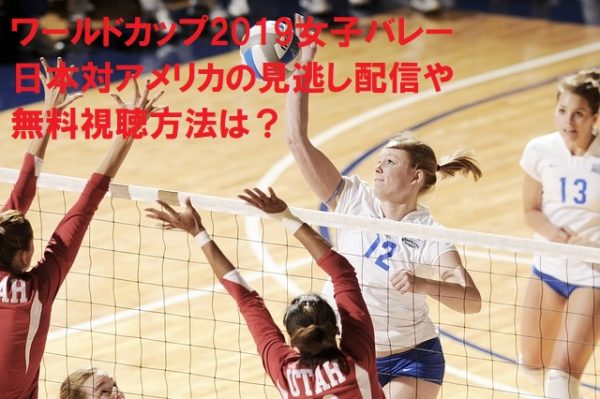 ワールドカップ19女子バレー日本対アメリカの見逃し配信や無料視聴方法は 世の中のいろんな謎解き